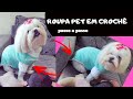 (DESTRO) ROUPA PET EM CROCHÊ - PASSO A PASSO