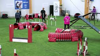 International Agility Training Week - The Weaves-Tunnel Discrimination - preview