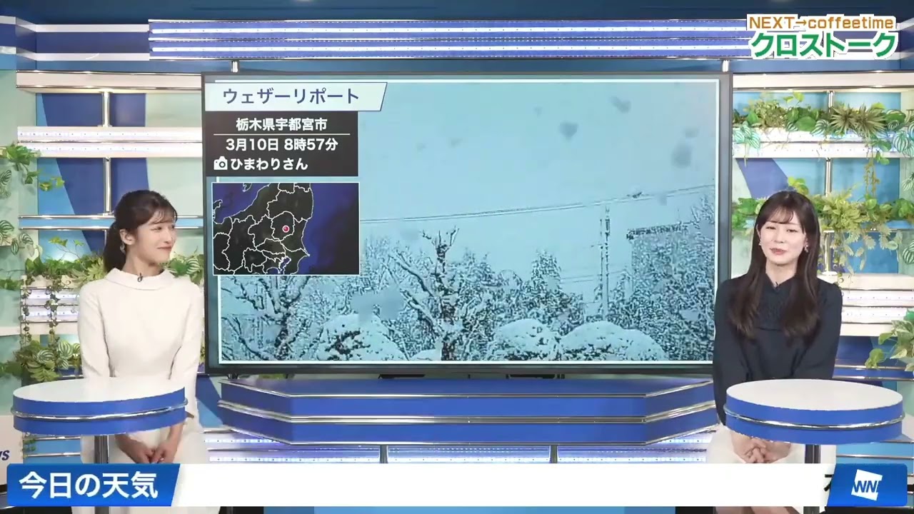 【青原桃香】【岡本結子リサ】クロストーク（260310 ウェザーニュースlive SunShine　→　ウェザーニュースlive CoffeeTime）