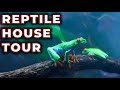 Reptile house tour  all the pets i never show you