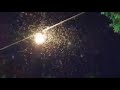 VÍDEO/Invasión de mosquitos en Talavera