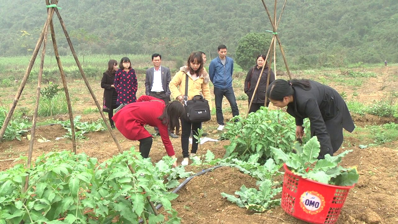 PS NIEM VUI TREN CANH DONG LON - YouTube