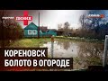 Болото в огороде | Горячая линия +