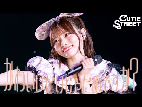 【ROCKIN' LIVE Footage】Is Being Cute Not Enough? 📍Chiba City Soga Sports Park (9/19/2026)【CUTIE ST...