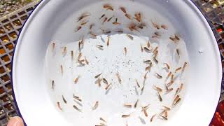 DSCF9811
