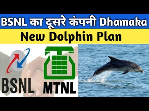 Today Big Breaking News | New Dolphin Plan From MTNL | Rs 171,197,231 & 365