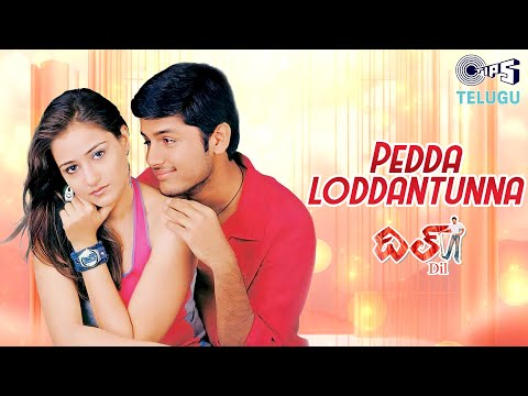 Peddaloddantunna | Dil | Nithin, Neha | K. S. Chithra, Sri Ram | R. P. Patnaik | Telugu Love Songs
