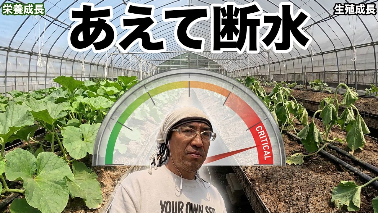 Melon Farming] Survival Instinct: Master the Switch to Generative