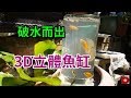 MR. ANDY愛迪先生/ 池塘的魚竟然游到空中 3D Aquarium