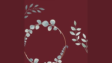 High Class Backdrops for Luxurious Favorites