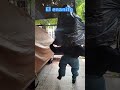 EL ENANITO 😂🤣😱😂 #reels #humorcolombiano #quilla #reels