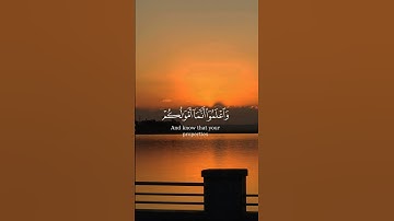 يا أيها الذين آمنوا لا تخونوا الله والرسول وتخونوا أماناتكم وأنتم تعلمون|سورة الأنفال|ياسر الدوسري 👀
