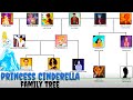 The princess cinderellas family tree