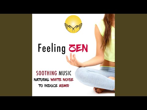 Relaxphonic - Meditation