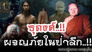 "ธุดงค์"..ผจญภัยในป่าลึก เข้าป่าตามหา พระอรหันต์ ประสบการณ์  หลวงปู่หลวง กตปุญโญ