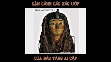 Cận cảnh các xác ướp Ai Cập cổ đại đang được bảo quản ở bảo tàng Ai Cập