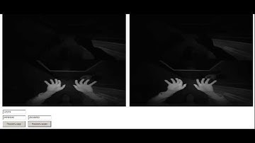 RAW Video from Leap Motion