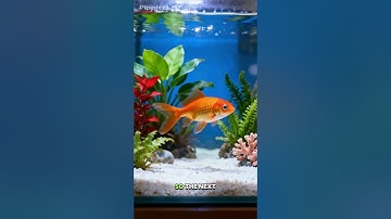 Goldfish Are GENIUSES?! The Truth Behind the 3-Second Memory Myth 🐟🧠