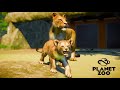 Life of Lion Cub | My First Video on Planet Zoo