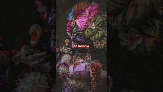 The amount of comfort this line holds✨💫 | krishna status | #radhakrishna#shorts #fyp #youtubeshorts