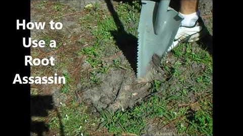 How To Use A Root Assassin