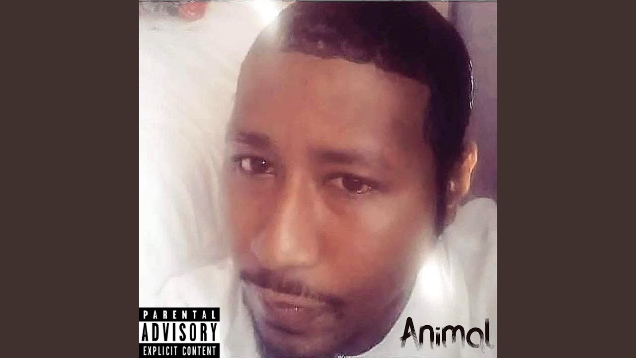 Animal - YouTube