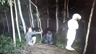 Download Lagu iLunk Misteri, Bogel, and Lek Ocong. MP3