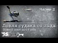 Ловля судака со льда на вибы. Часть 2.