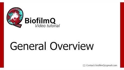 BiofilmQ Tutorials - 1.2 General Overview Of BiofilmQ