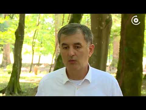 მინისტრთა კაბინეტის წევრები ოთხოზორია ტატუნაშვილის სიაზე განმარტებას აკეთებენ