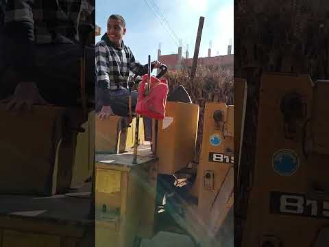 حلاوة اللودر 815