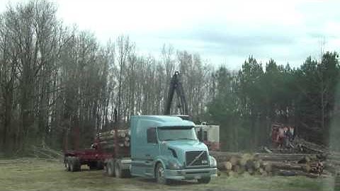 Prentice log loader delimbing, cutting, and loading logs