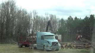 Prentice log loader delimbing, cutting, and loading logs