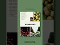 Chaya Kitchen Template