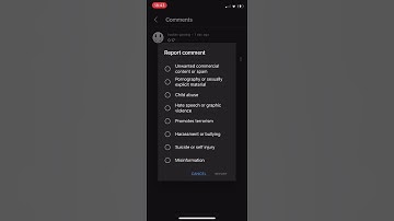 How To Remove Returning Vom.In.Net Comments