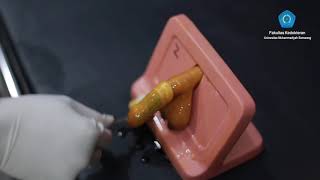 PANDUAN SKILLS LAB SIRKUMSISI FAKULTAS KEDOKTERAN UNIMUS PANDUAN SKILLS LAB SIRKUMSISI FAKULTAS KEDOKTERAN UNIMUS