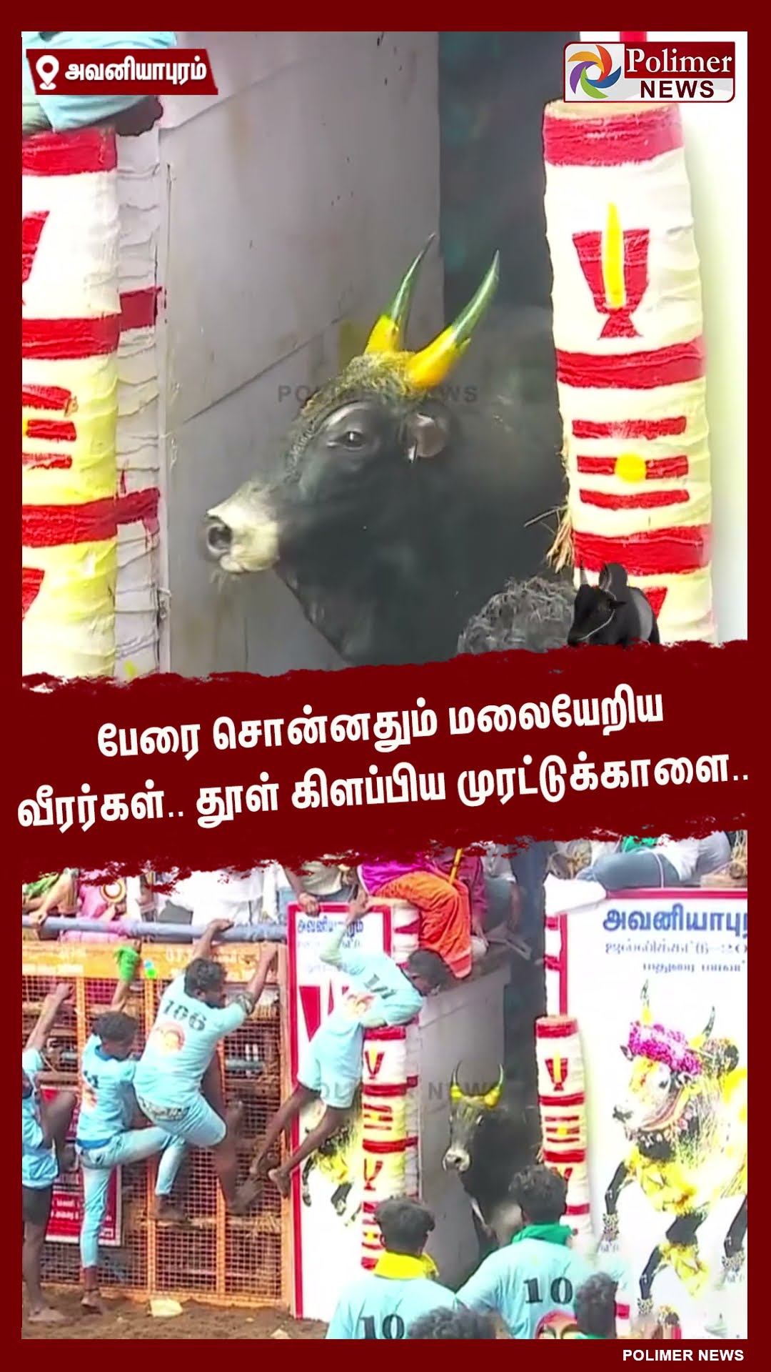 பேரை சொன்னதும் மலையேறிய வீரர்கள்.. தூள் கிளப்பிய முரட்டுக்காளை..#shorts