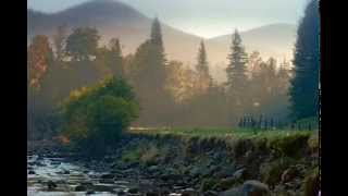 Creative Solid Wood Interior Doors Wealth