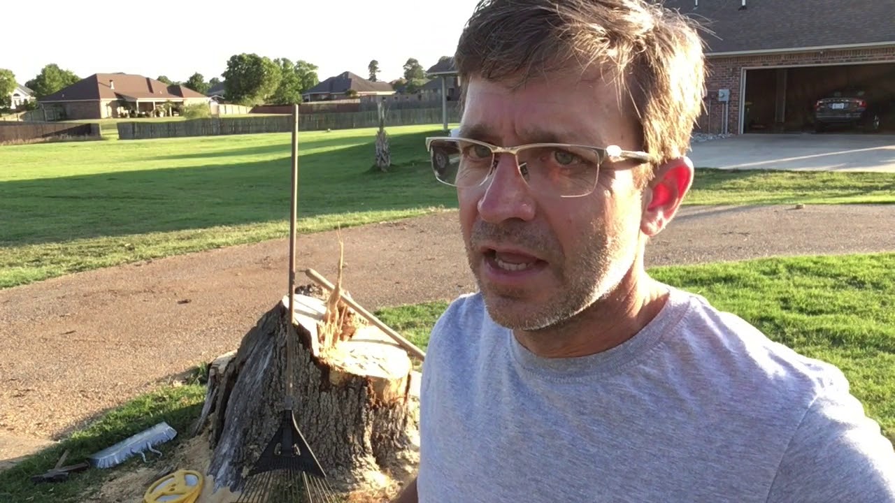 Cutting A Huge Tree Down YouTube