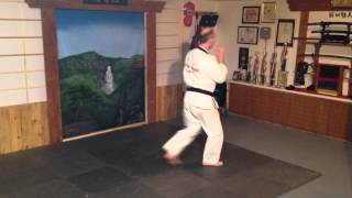 Blue Belt Form: Joong-Gun - Kevin Brett