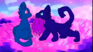 Can't you see- Crowfeather MAP: part 27