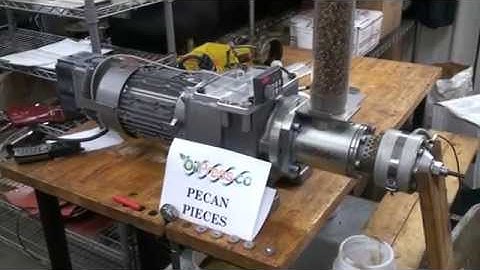 Pecan Oil Extraction