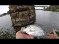 Summertime Crappie Fishing On The Coosa River