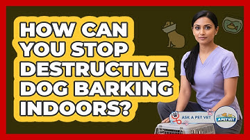 How Can You Stop Destructive Dog Barking Indoors? - Ask A Pet Vet