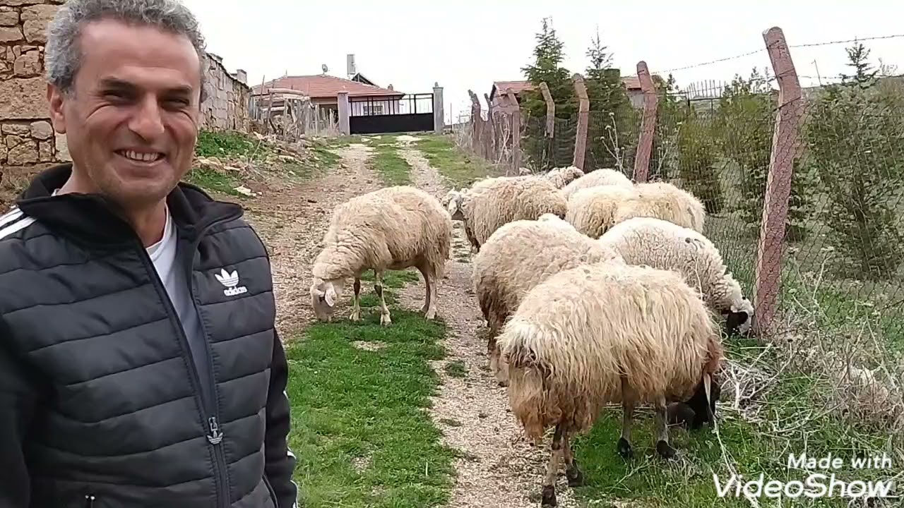 Çimen köyü karışık videolar