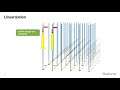 Learn about illuminas nextgeneration sequencing workflow