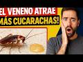 ELIMINA las CUCARACHAS de CASA (usas bien el veneno para cucarachas) TIPS Y TRUCOS