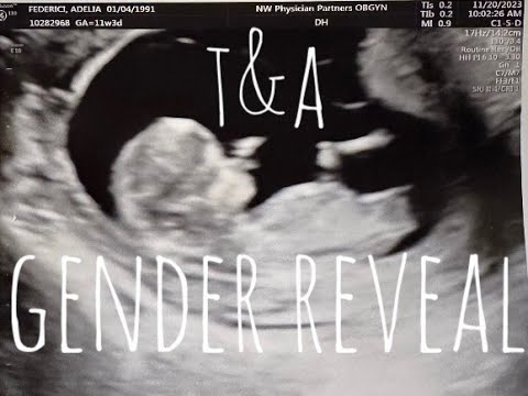TA Gender Reveal Video
