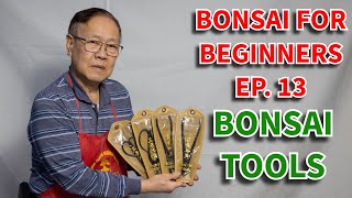 How to choose the right bonsai tool. Bonsai For Beginners episode 13.
