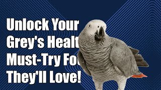 Unlock Your African Grey's Health: Must-Try Foods They’ll Love!